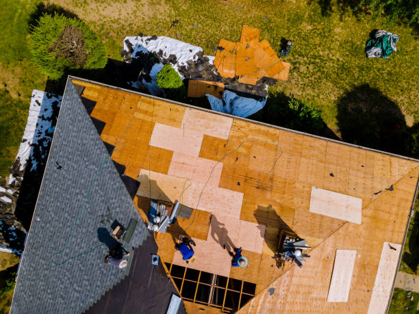 Best Roof Leak Repair  in New Chicago, IN