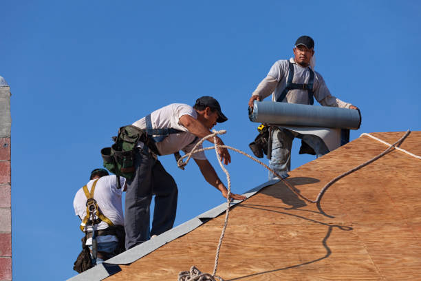 Best Roof Gutter Cleaning  in New Chicago, IN