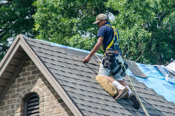 Best Gutter Installation and Roofing  in New Chicago, IN